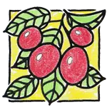 Guarana